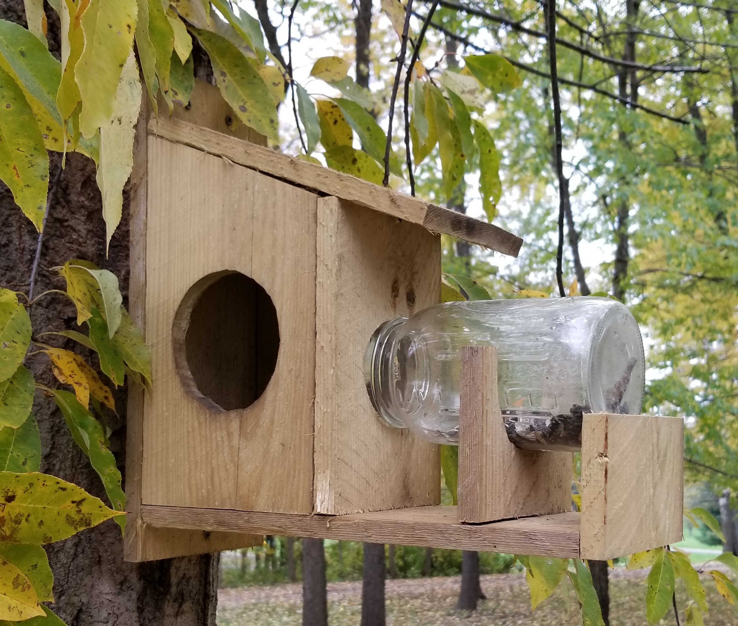 Picture of home-made squirrel feeder with mason jar to hold squirrel food.